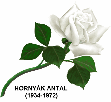 HORNYÁK ANTAL