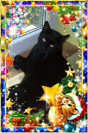 LUCIFER (Kenderesi-Fejes)