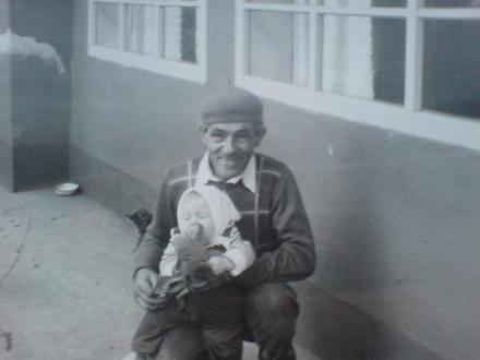 Deli László (papa)