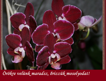 Szatóri Manci és Bostai Jóska 