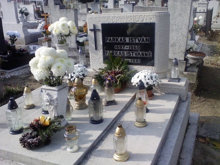 Nagymamám   Nagypapám