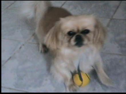 Fifi, Fifike, Fifitó, Fifikusz, Fikusz, Toffifee, Hercegnő, Princess,