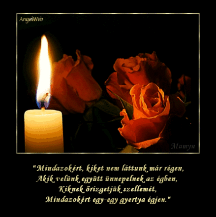 VIRÁG FERENC ÉS FERENCNÉ/NAGY FLÓRA/