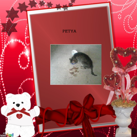 Petya,Petyus 