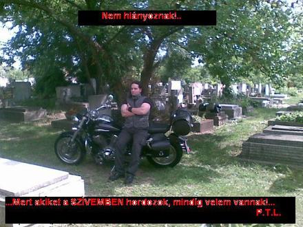 Tibi A Motoros Herceg