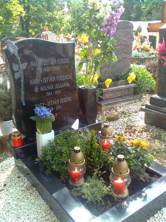 Ifjabb és idősebb Nagy-István Ferenc, és Nagy-István Ferencné