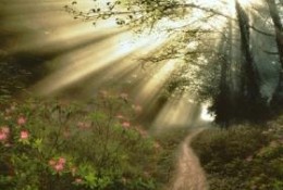 Papa (Tamási Ferenc)