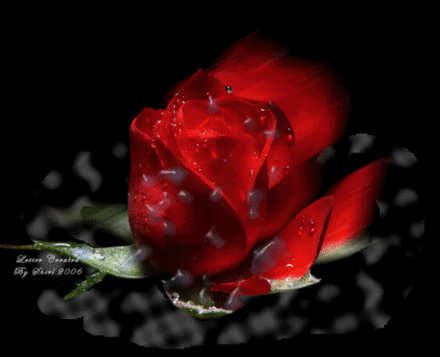 Misa  és felesége Juliska