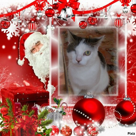 MÁZLI  (Kenderesi-Fejes)