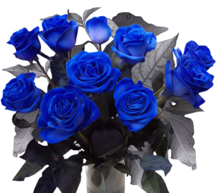 Eszter édesanyjáért és édesapjáért!